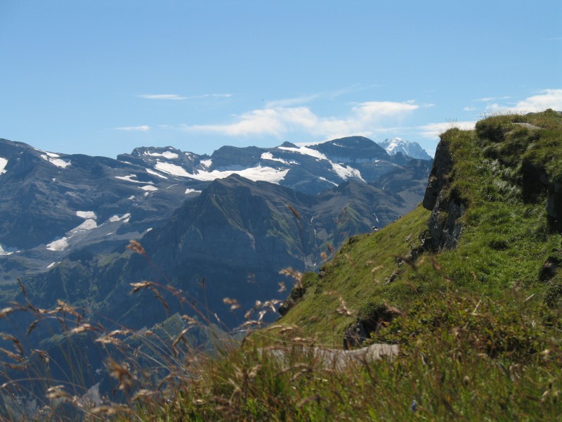 Col de Cou : L'Aiguille Verte au fond