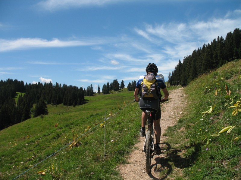 #7 Lac d Lac d'Arvouin : On se rapproche du lac