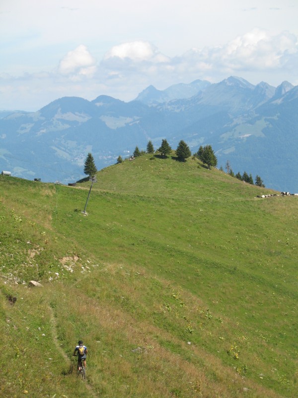 #3 Lac d Lac d'Arvouin : Superbe alpage suisse