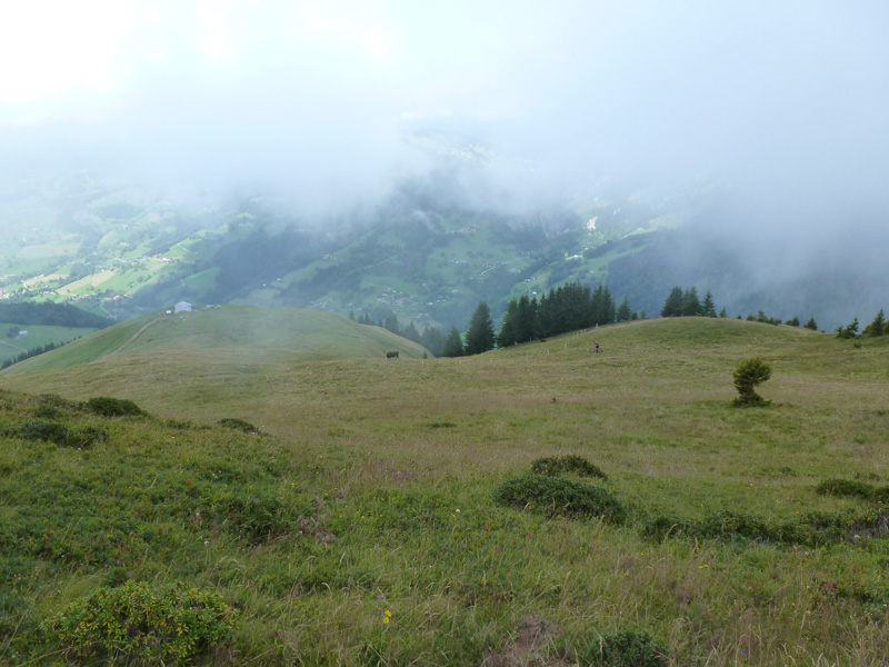 #6 la descente d la descente d'Orsière : sur le châlet du Macheux