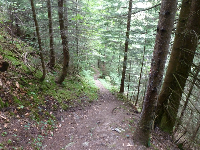 #10 le début de la descente : en single vers Cernix et le Bouchet le début de la descente : en single vers Cernix et le Bouchet