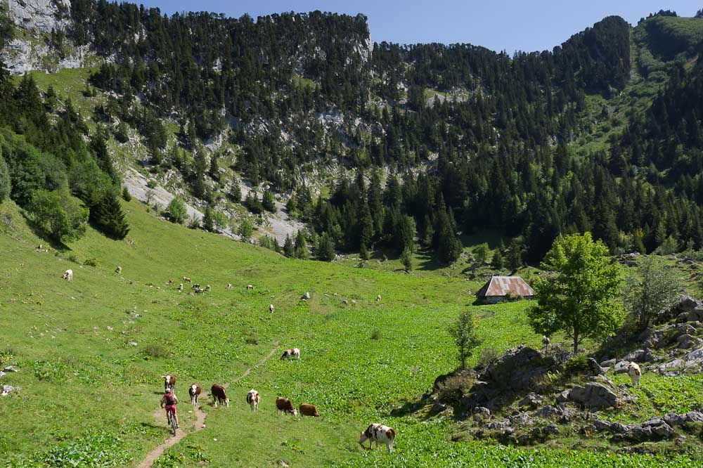 #10 Sous le col de la Cochette : Un des rares endroits ou le sentier n Sous le col de la Cochette : Un des rares endroits ou le sentier n'est pas lobouré