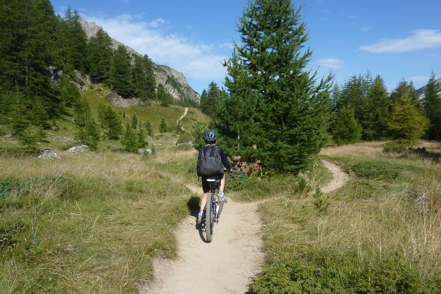 #4 Sous le lac : Chouette cadre Sous le lac : Chouette cadre