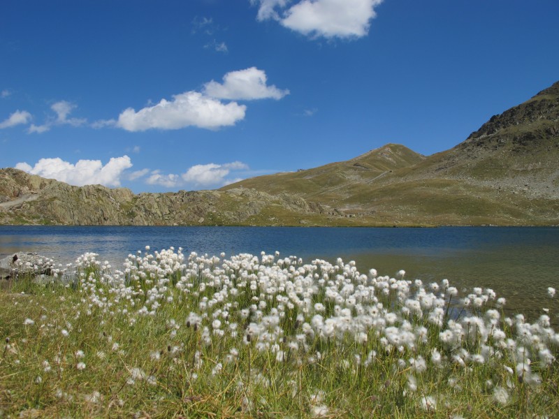 #14 Rousses : les Lacs de Bruant Rousses : les Lacs de Bruant