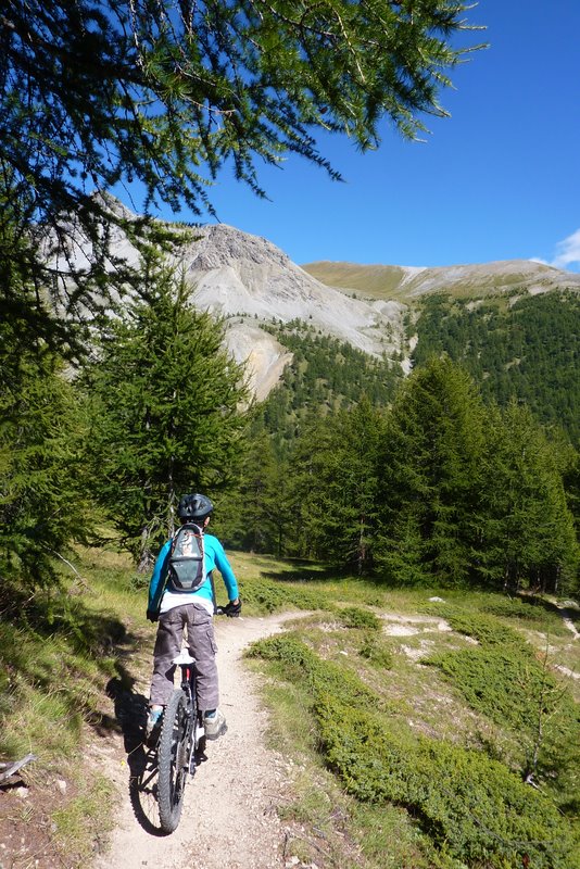 Descente du Col du Tronchet : Excellente