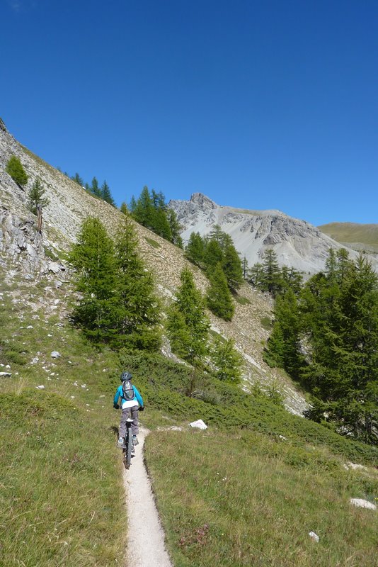 Descente du Col du Tronchet : Une régalade