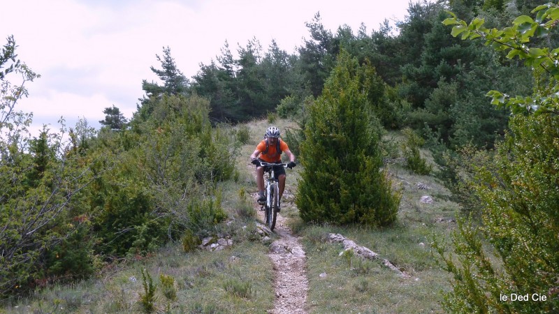 Raymond : En sortie de forêt où parfois il ne faudrait pas un cintre plus large !