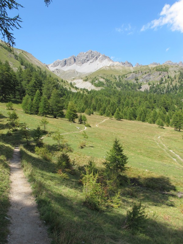 #5 Descente vers Souliers : Partie supérieure un peu plus technique puis cela devient de plus en plus facile et roulant. Descente vers Souliers : Partie supérieure un peu plus technique puis cela devient de plus en plus facile et roulant.