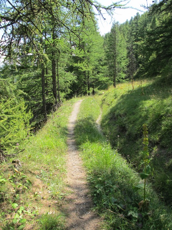#6 Canal du lac de Roue (1) : Superbe section... Canal du lac de Roue (1) : Superbe section...