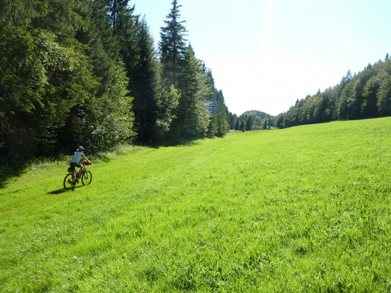 Combe au dessus de Chaux Neuve