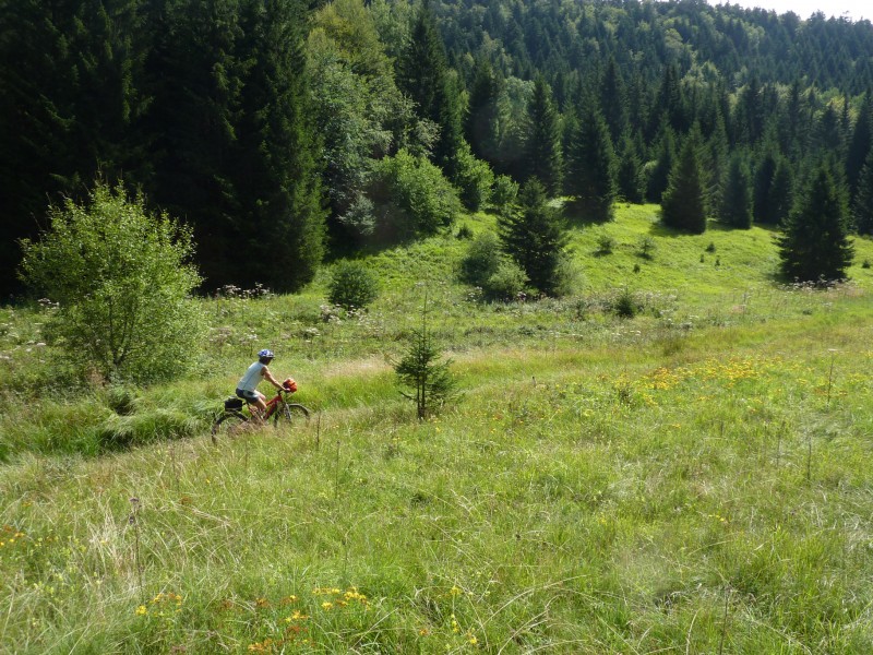 Combe sauvage en arrivant sur le Plateau de Retord