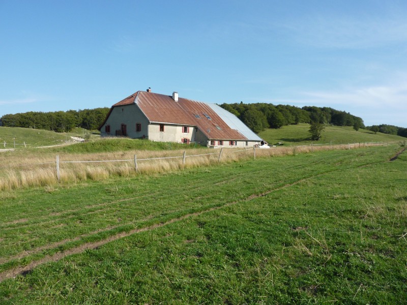 La ferme du Retord dans son environnement sauvage, très bonne adresse !