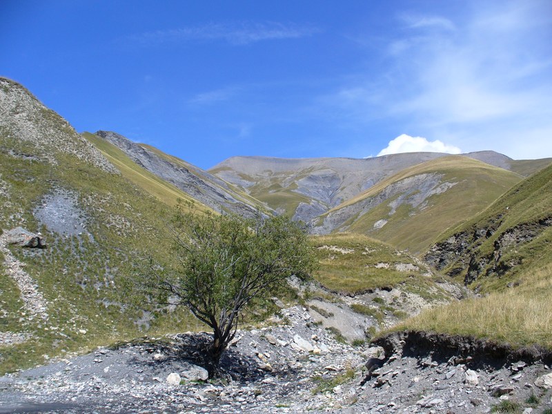 #15 Piste Montée : Paysages magnifiques tout au long de cette montée... Piste Montée : Paysages magnifiques tout au long de cette montée...