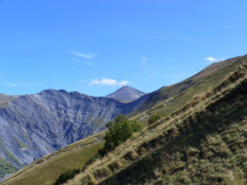 #1 Piste Montée : On aperçoit le maître des lieux Piste Montée : On aperçoit le maître des lieux