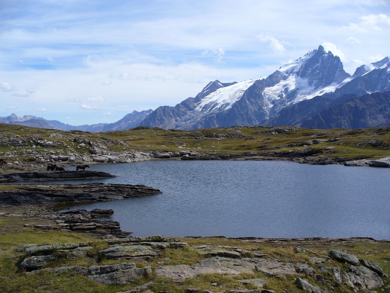 #10 Emparis : Abreuvoir 5* Emparis : Abreuvoir 5*