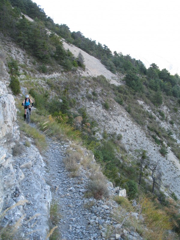 Forêt de Duina : Au dessus de la Tinée, les derniers mètres.