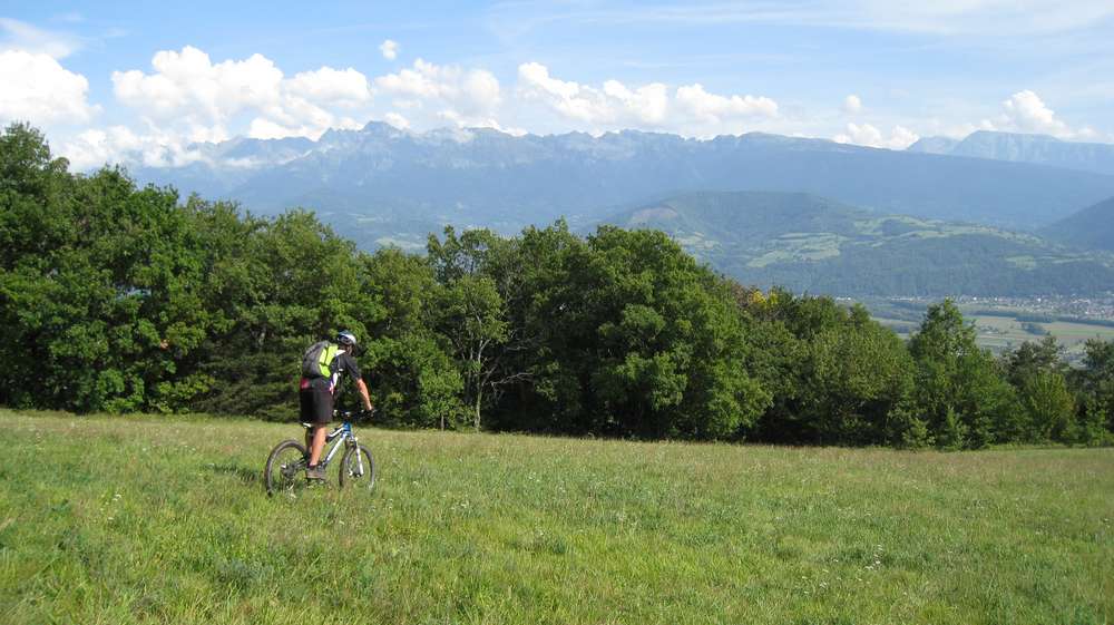 #3 Heidi traverse la prairie devant Belledonne Heidi traverse la prairie devant Belledonne