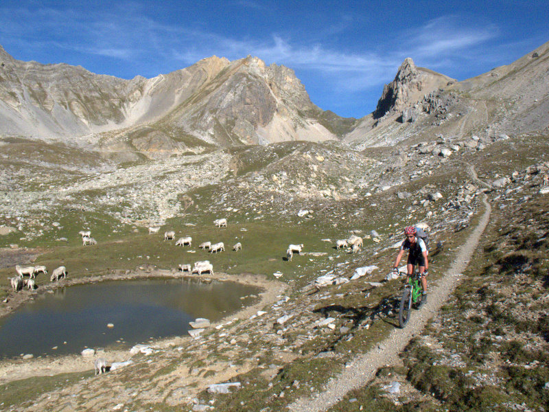 Vallon d'Oserot : ... enfin presque