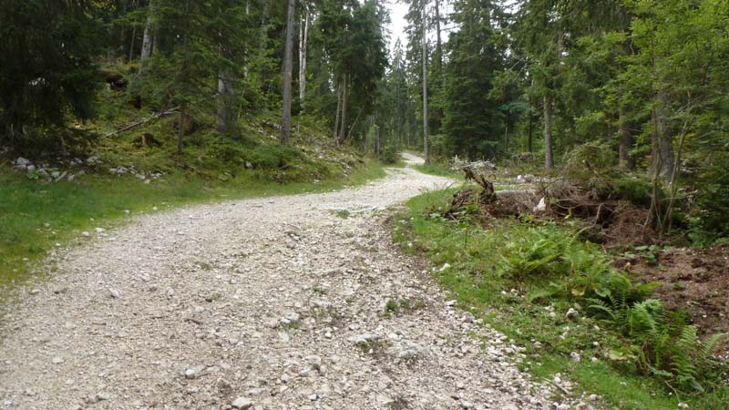 #2 piste de ski de fond : le départ de la piste de ski de fond depuis la route forestière piste de ski de fond : le départ de la piste de ski de fond depuis la route forestière