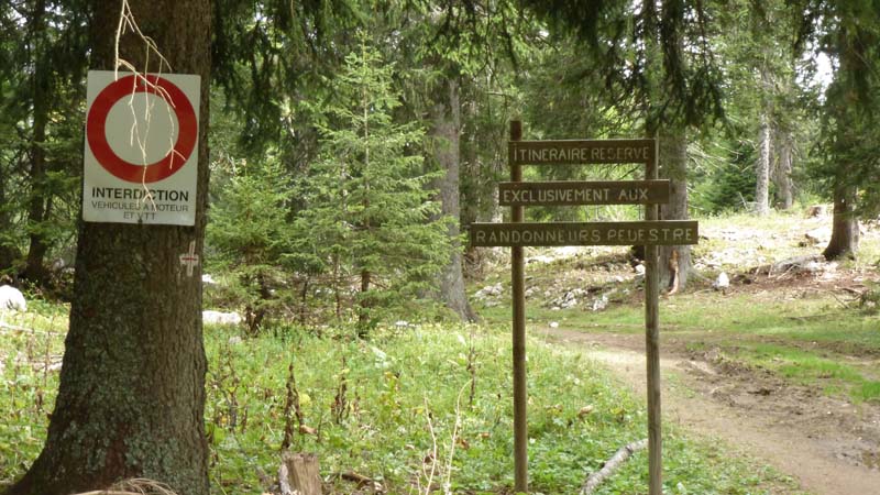 #3 interdiction ? : sur le panneau c interdiction ? : sur le panneau c'est clair, c'est interdit aux vtt ... mais c'est le seul panneau, et il n'est que dans un seul sens ... va comprendre ...