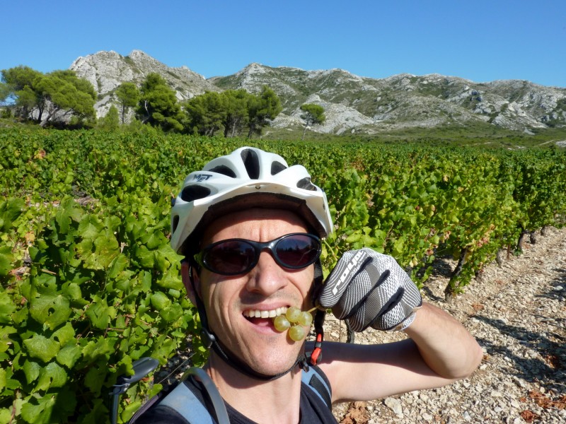 #3 Ravito de saison : Il reste toujours des raisins après les vendanges Ravito de saison : Il reste toujours des raisins après les vendanges