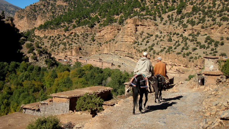 Vallée de la Tessaout : c'est jour de souk à Fakhour