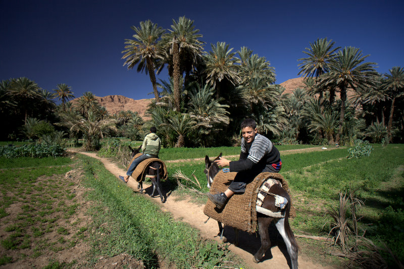 #54 Tinerhir : dernier pique-nique dans la palmeraie avant de prendre le bus pour Ouarzazate Tinerhir : dernier pique-nique dans la palmeraie avant de prendre le bus pour Ouarzazate