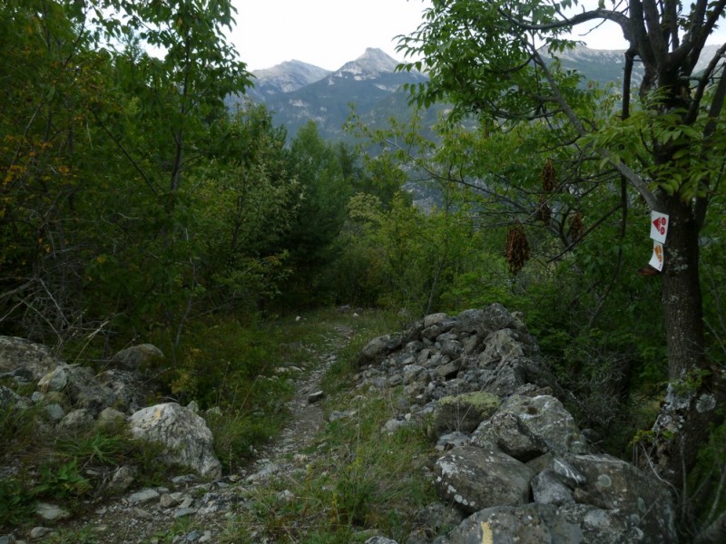 #2 le vrai départ du sentier : à gauche au bout de 150m le vrai départ du sentier : à gauche au bout de 150m