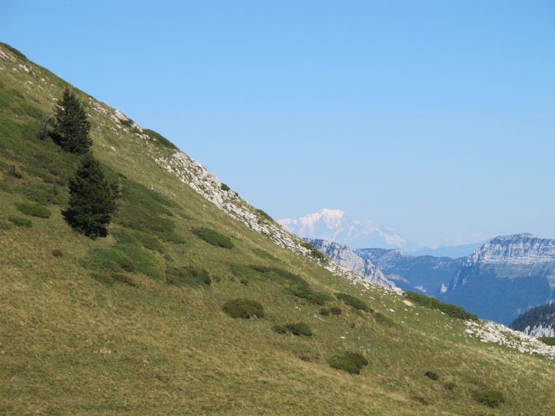 #11 bannettes : le Mont blanc bannettes : le Mont blanc