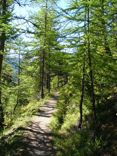 Sentier Montée : Le sentier du canal