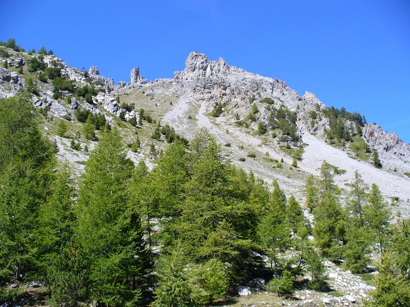 #4 Piste Montée : ... magnifiques ... Piste Montée : ... magnifiques ...