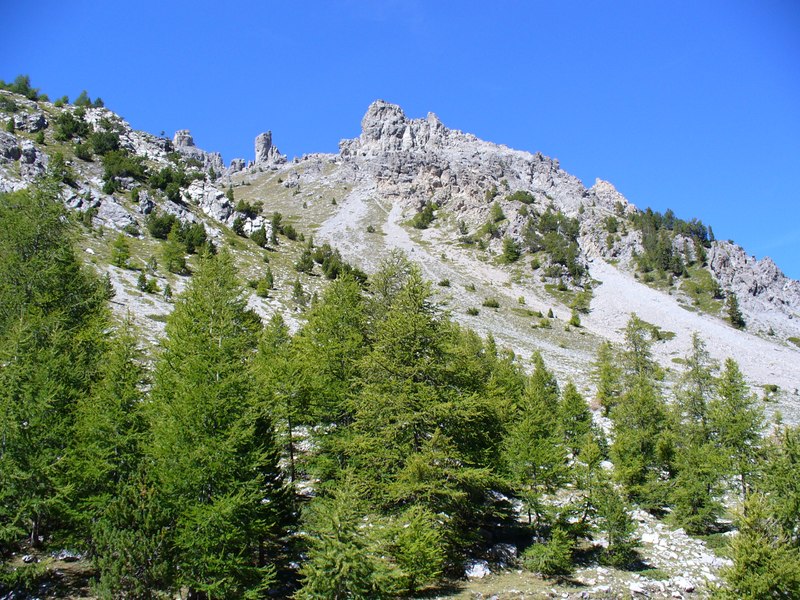 Piste Montée : ... magnifiques ...