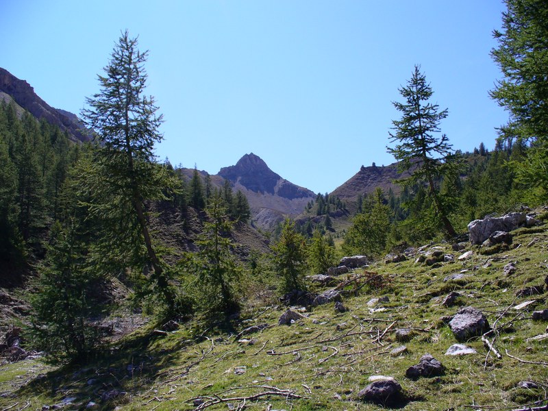 #3 Piste Montée : Paysages ... Piste Montée : Paysages ...