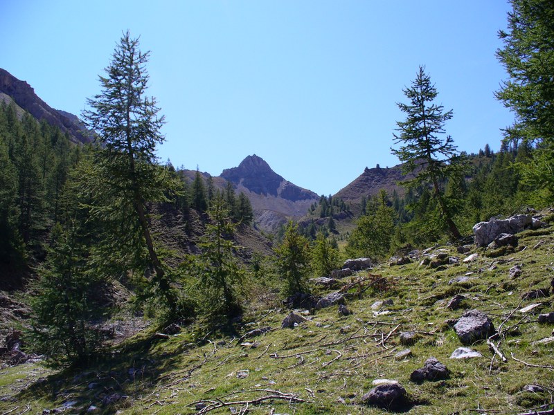 Piste Montée : Paysages ...