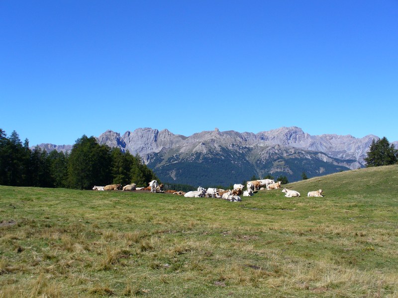 Sommet Bucher : Col des Prés Fromage