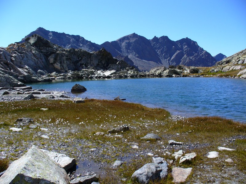 Lacs Blanchet : Plage fleurie