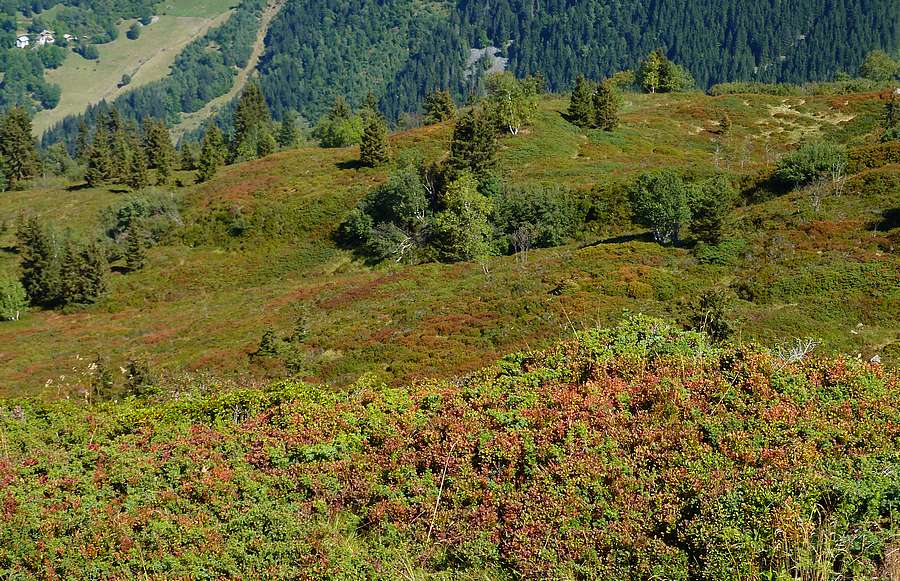#6 Combe Grasse : Doucement, l Combe Grasse : Doucement, l'automne prépare ses habits