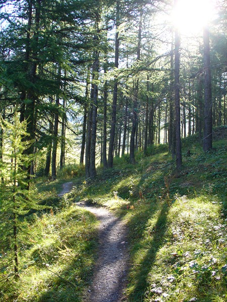 #1 Sentier Montée : Le joli sentier vers Chaurionde Sentier Montée : Le joli sentier vers Chaurionde