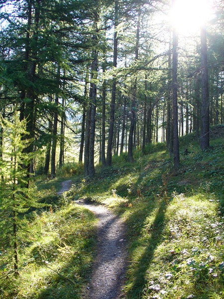 Sentier Montée : Le joli sentier vers Chaurionde