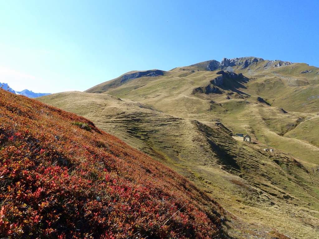 Mt Laytyre : La descente free ride du Mt Laytyre