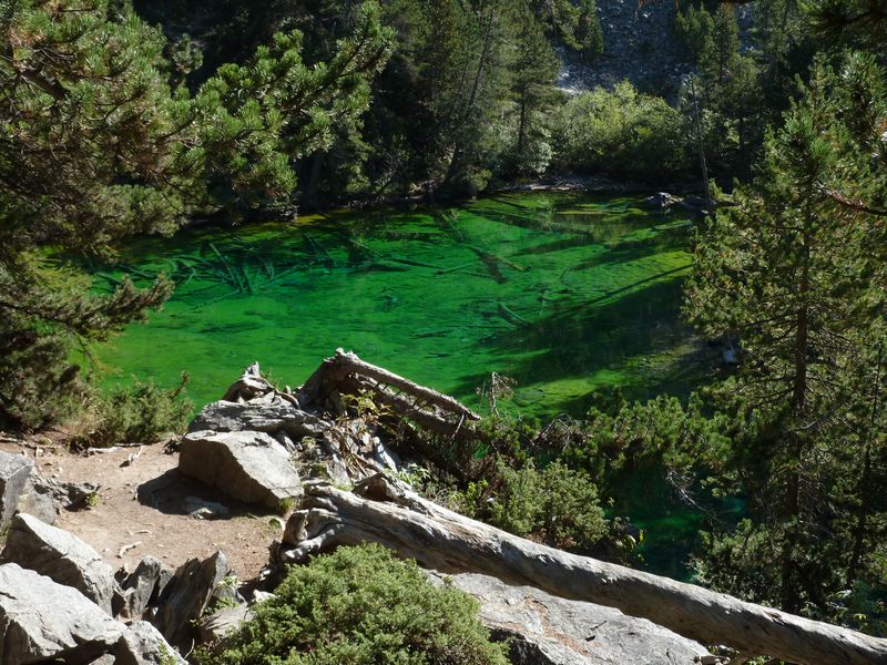 #7 Lac Vert : Bien nommé Lac Vert : Bien nommé