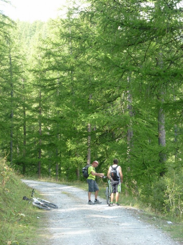#1 ça monte doucement : on va s ça monte doucement : on va s'énerver un peu plus dans l'alpage