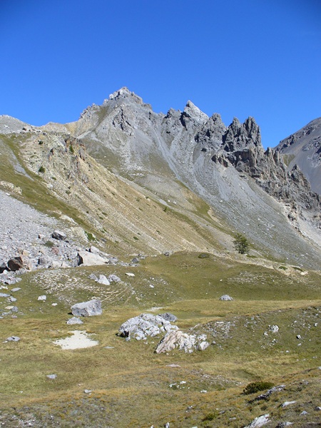 Sentier Descente : ... magnifiques ...