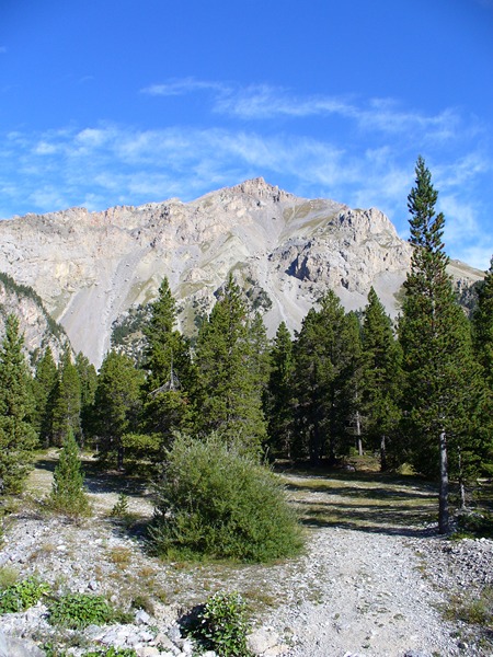 Combe la Roche : ... ou piste