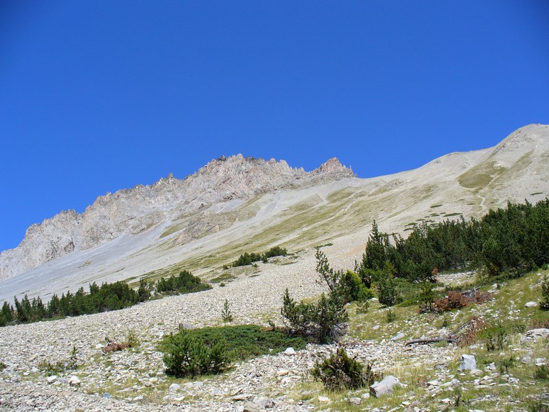 Sentier Descente : ... à couper ...