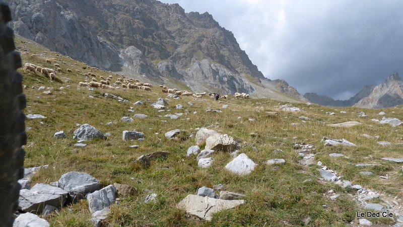 #27 Vallon dell Vallon dell'Infernetto : Remontée pénible ensuite ça s'améliore un peu