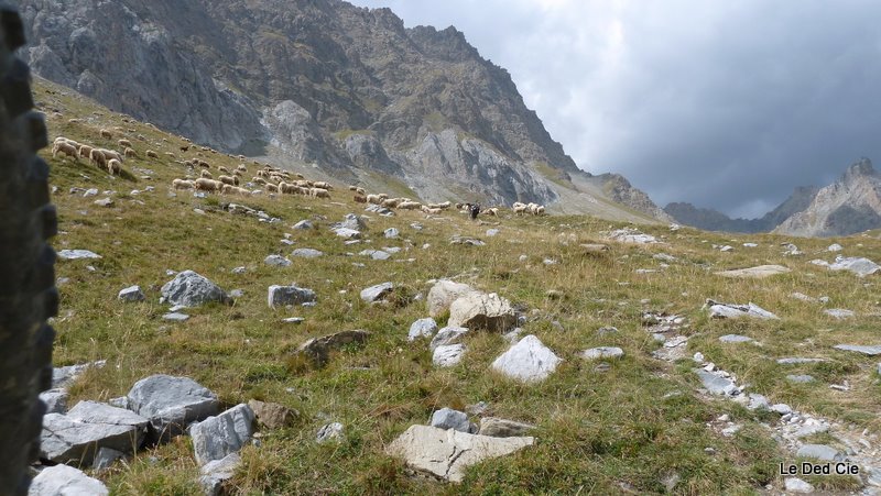 Vallon dell'Infernetto : Remontée pénible ensuite ça s'améliore un peu