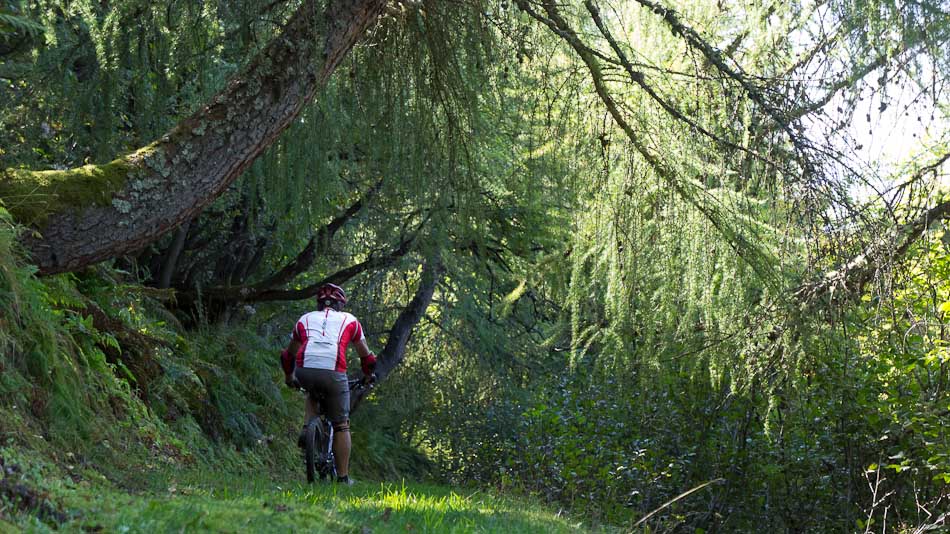 #8 Sentier sous le Grand Truc : bien humide, difficile de lacher les chevaux Sentier sous le Grand Truc : bien humide, difficile de lacher les chevaux