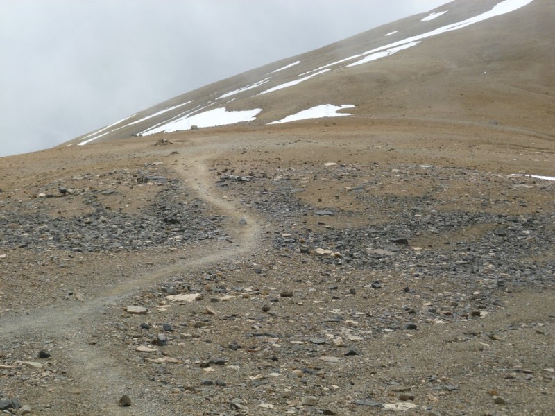 "Col Sud" du Thabor : terre jaune