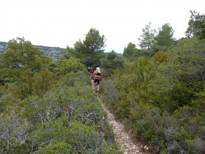 #4 Sentier de la Débroussède : Ca file tout seul Sentier de la Débroussède : Ca file tout seul